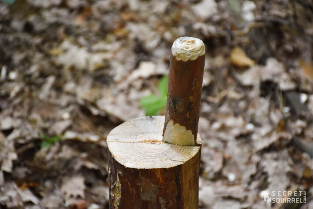 Кілкування - secretsquirrel.com.ua